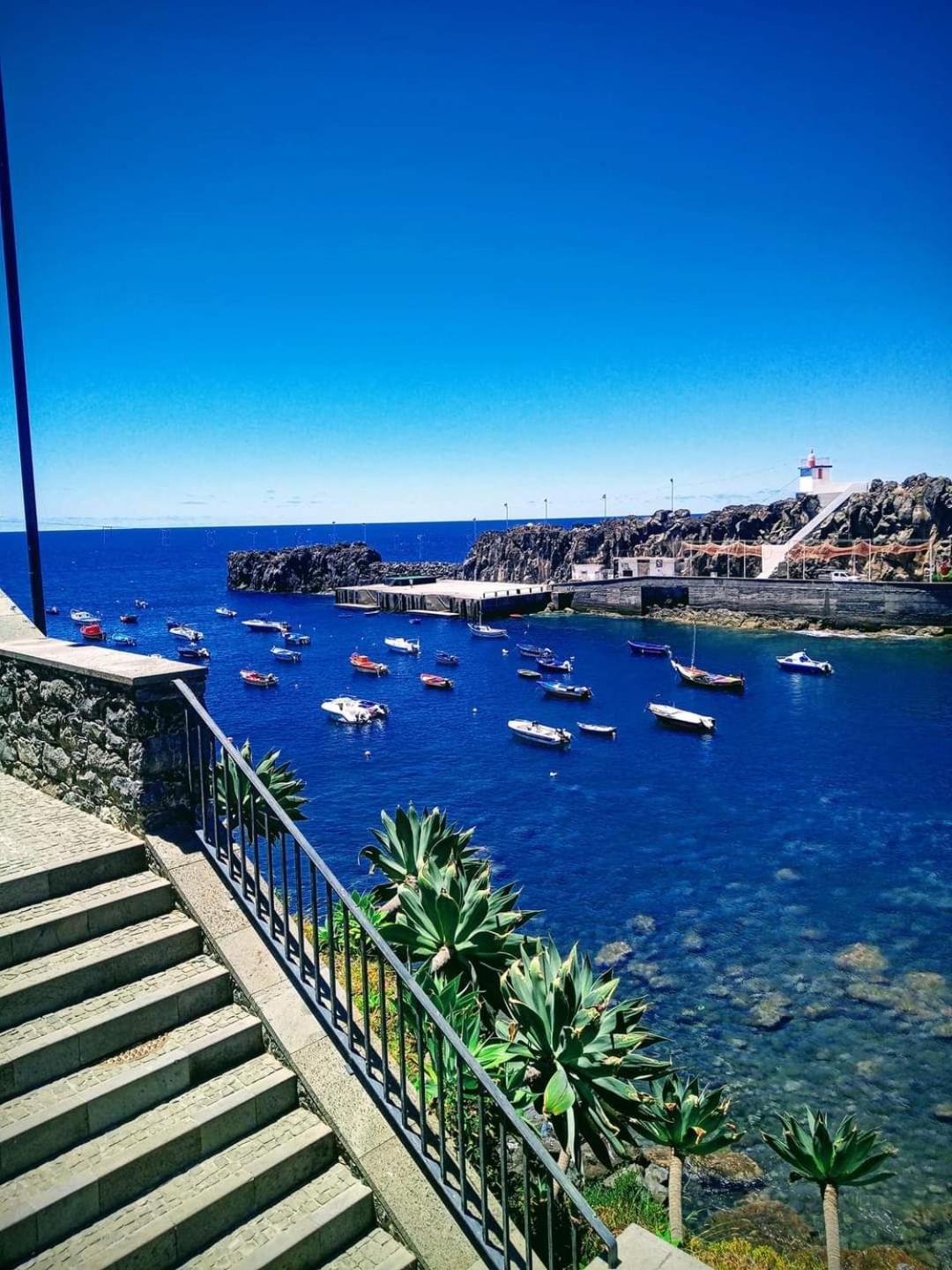 Cantinho Da Te Câmara de Lobos Екстериор снимка